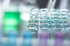 FIRST-PERSON: The Word of God, not science, is our authority | Baptist Press