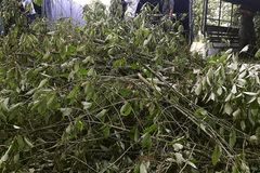 FDA warns against opioid-like product sold at gas stations