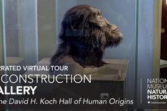 Smithsonian 'obscuring' new study finding greater gap between humans, apes than previously thought: Geologist