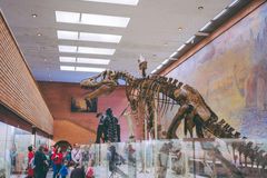 FIRST-PERSON: We need to talk about the dinosaurs | Baptist Press