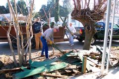 CP allows 'broad strokes of ministry' | Baptist Press