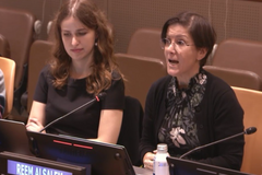 Surrogacy industry dehumanizes women and children, should be banned globally, UN expert says