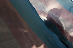 Fewer young people identifying as transgender, report says