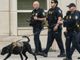 United States counterterrorism team catches cartel boss