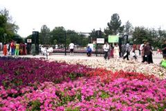 Blind Christian in Pakistan Charged with Blasphemy - Morningstar News