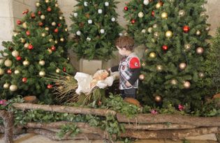 ﻿﻿﻿US Christians Should Look Past the Wall of Distortion to See the Truth About Palestinians in the Holy Land