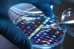 Is engineering a ‘super’ human being a good idea?