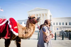 Unsettling Advent 2025, Day 3