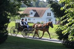 Supreme Court revives Amish challenge to New York student vaccination requirement