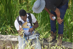 Attempts to block anti-corruption probe in Jamaica undermines public trust, say church organizations