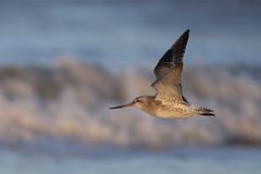 A broader view on migration to encourage Christian action