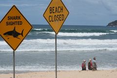 Australian beaches close after string of shark attacks