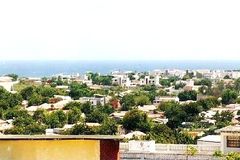 Family in Somalia flees home after embracing Christ