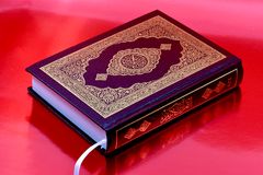 Texas school district blames 'procedural breakdown' after student reveals Islamic group distributed Qurans, hijabs on campus