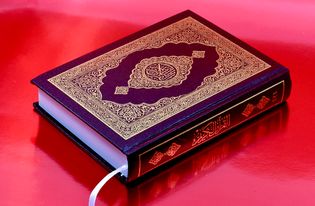 Texas school district blames 'procedural breakdown' after student reveals Islamic group distributed Qurans, hijabs on campus
