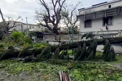 Madagascar churches mobilize as Cyclone Gezani death toll approaches 40