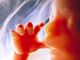 Majority of UK public support legal protection for unborn babies with heartbeat: poll