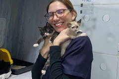 Brazilian court acquits student over posts on biological sex