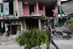 Violence in Haiti worsens as new gang suppression force planned