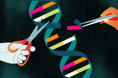 Owner’s Manual Part Two: Find and Replace