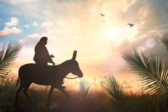 Why did Jesus ride on a donkey?