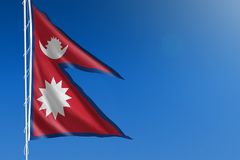 Nepalese high court urged to protect girls from illegal egg harvesting