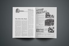 The Fall of the Shah