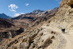 Women’s health trainings help reach the unreached in remote villages | Baptist Press