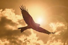 Failed self sufficiency gives way to soaring because of the Lord