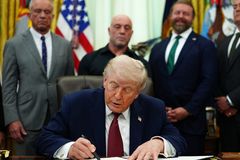 Trump greenlights psychedelic drug for human testing