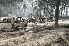 Wildfires torch over 50 homes in Georgia