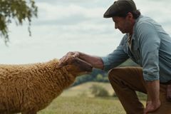 ‘The Sheep Detectives’ review: A cozy family film with a meaningful message beneath the whimsy