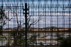 China and North Korea partner to persecute Christians, experts say