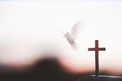 Is there an overcorrection of the Holy Spirit in the charismatic church?