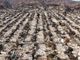 California accuses State Farm of mishandling LA fire claims