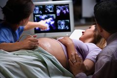 I studied brain cells for years as a neuroscientist. Then my own pregnancy changed everything