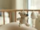 Bill would inform parents of their rights after pregnancy loss