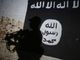 ISIS leader killed in Nigeria during joint US operation, Trump says
