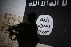 ISIS leader killed in Nigeria during joint US operation, Trump says