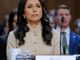 Director of National Intelligence Tulsi Gabbard announces resignation