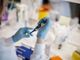 How many cures for cancer did the world lose in the Holocaust?