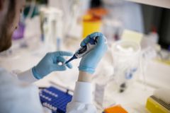 How many cures for cancer did the world lose in the Holocaust?