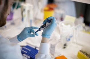 How many cures for cancer did the world lose in the Holocaust?