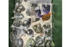 California man sentenced for international reptile trafficking