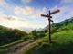 Half of pastors satisfied with their church’s discipleship, Lifeway Research shows | Baptist Press