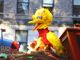 PBS kids' show Sesame Street continues sexual messaging with pride post