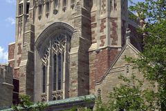 Law faculty feel unable to speak freely, survey finds
