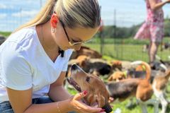 Feds to shutter research facility, cue mass beagle adoptions