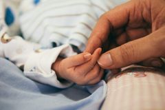 Ban on late abortions rejected in South Australia
