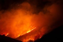 U.S. wildfires force evacuations in Utah, Arizona